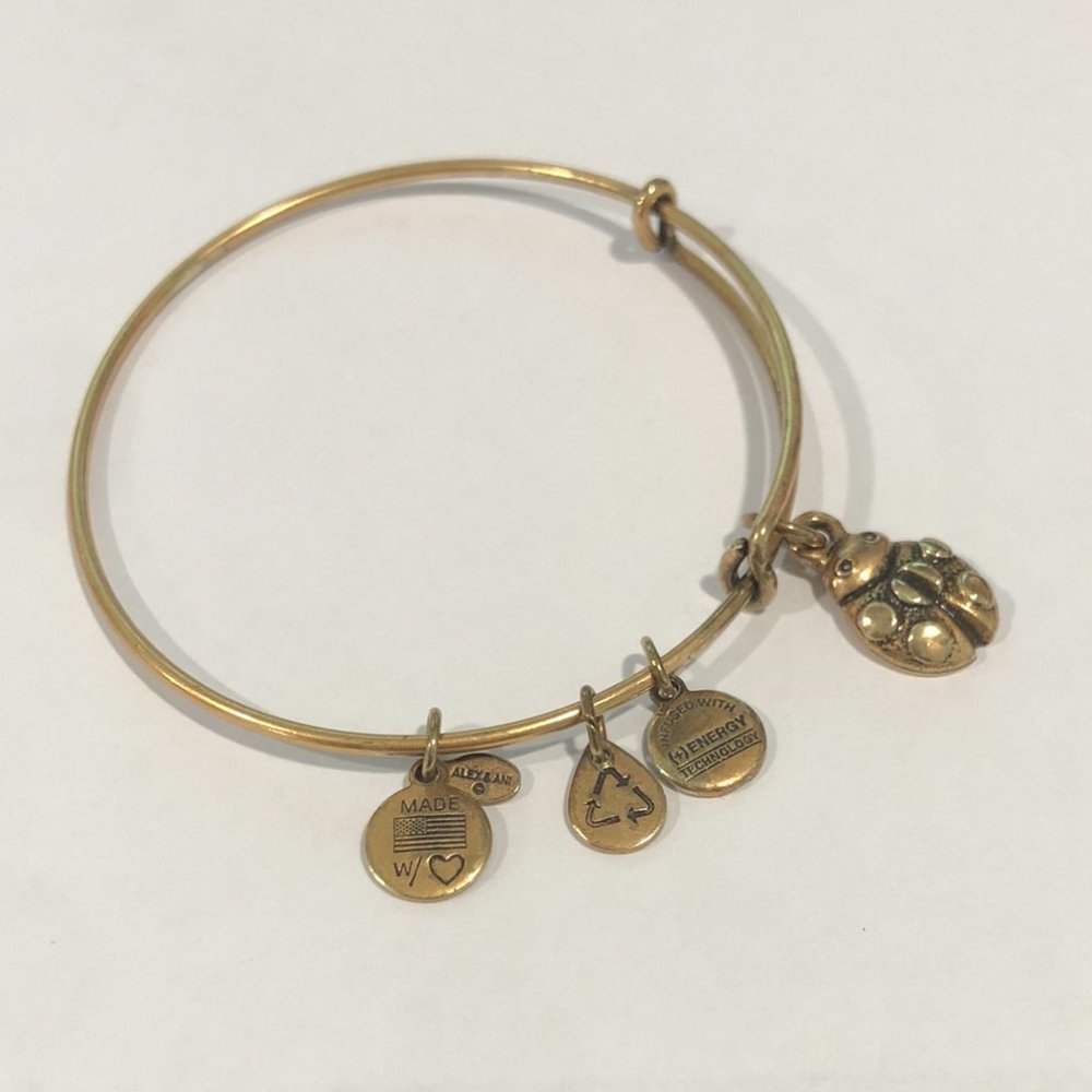 Alex and Ani Gold Ladybug "Energy" Bangle